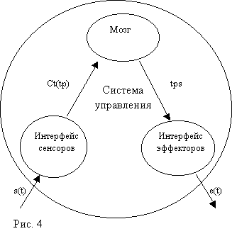 Рис.4 Внутри системы управления
      между сенсорами и эффекторами находится Мозг.