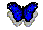 Blue butterfly - logo of my
      programs